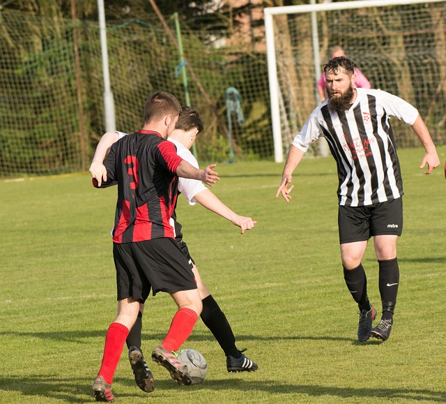 鼓舞作用 鼓舞作用