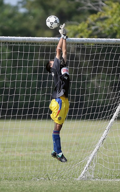 演绎着同样 演绎着同样