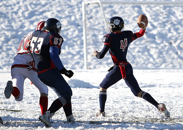 助曼联成功 助曼联成功